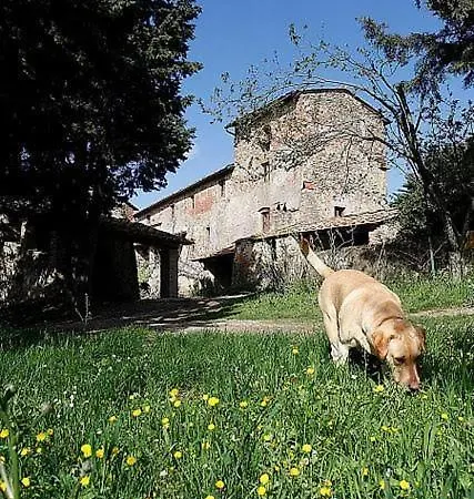Lejlighed Casa Fallocchio *